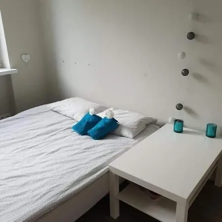 Apartment Letni Zakatek